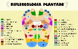 img/mappa-del-piede.jpg